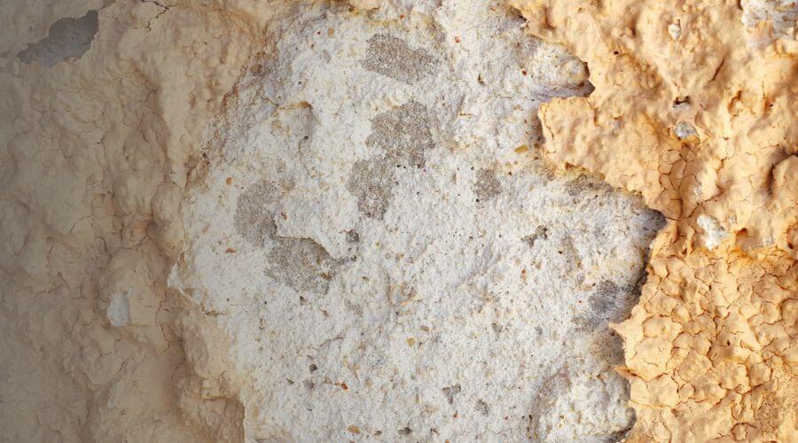 Why choose water damage restoration service for emergency flood repair in Waterbury